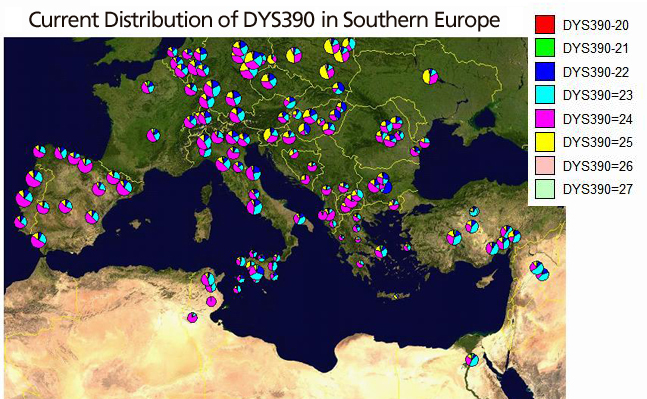DYS390 distribution in Southern Europe
